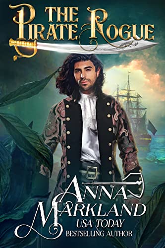 The Pirate Rogue book cover