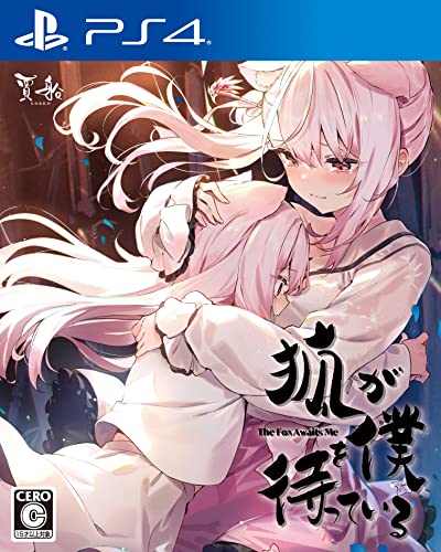 【PS4】プレイステーション4の名作・アドベンチャーゲーム人気投票＆ランキング【ADV】　136位　狐が僕を待っている The Fox Awaits Meの画像