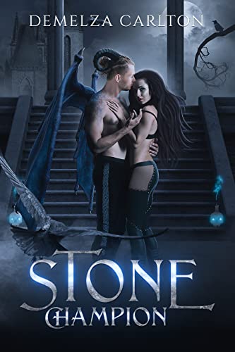 Stone Champion book cover