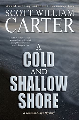 A Cold and Shallow Shore book cover