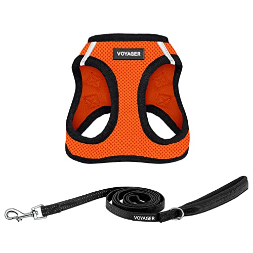 Voyager Step-in Air All Weather Mesh Harness and Reflective Dog 5 ft Leash Combo with Neoprene Handle, for Small, Medium and Large Breed Puppies by Best Pet Supplies - Orange/Black Trim, Small