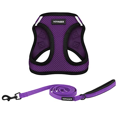 Voyager Step-in Air All Weather Mesh Harness and Reflective Dog 5 ft Leash Combo with Neoprene Handle, for Small, Medium and Large Breed Puppies by Best Pet Supplies - Purple/Black Trim, XXX-Small