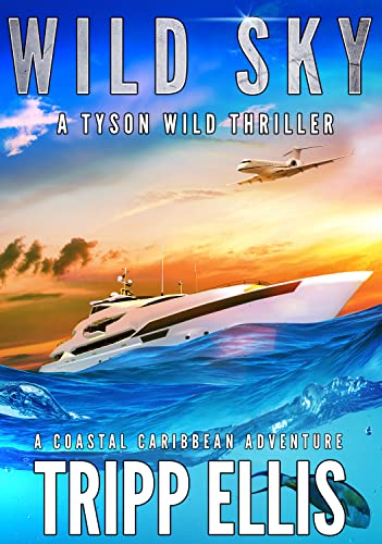Wild Sky book cover
