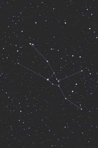 Tauro: Cuaderno de Notas | Signo de Horóscopo de Tauro