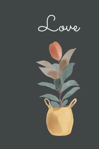 Love book cover