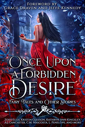 Once Upon a Forbidden Desire book cover