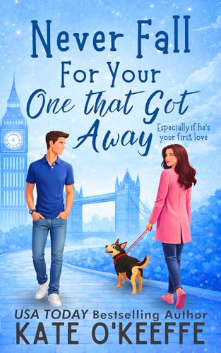 Never Fall for Your One that Got Away book cover