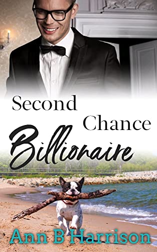 Second Chance Billionaire book cover