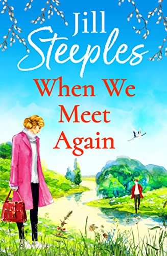 When We Meet Again book cover