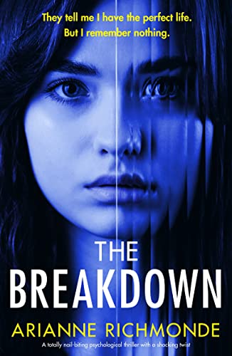 The Breakdown book cover