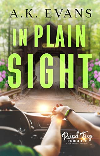 In Plain Sight cover