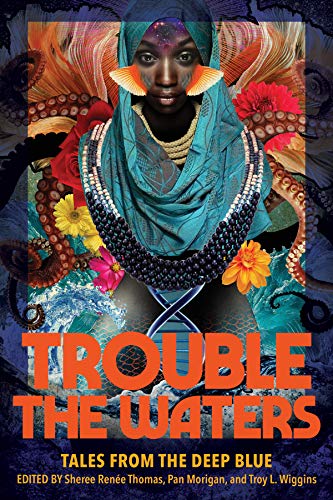 Trouble the Waters book cover