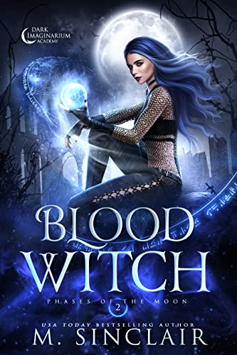 Blood Witch book cover