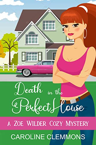 Death In The Perfect House book cover