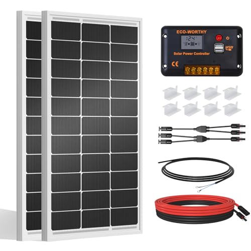 ECO WORTHY power & outdoor pick
