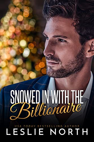 Snowed In with the Billionaire book cover