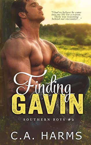 Finding Gavin cover