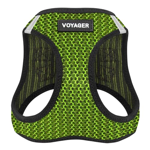 Best Pet Supplies Voyager Step-In Air All Weather Mesh Dog Harness for Small and Medium Dogs, Large