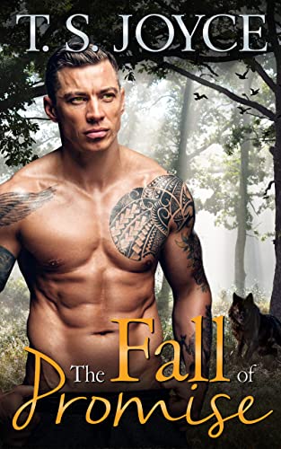 The Fall of Promise book cover