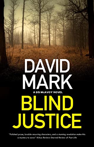 Blind Justice book cover