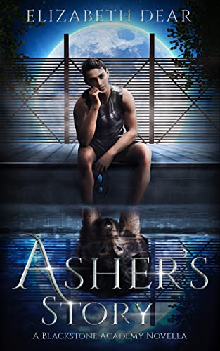 Asher's Story book cover