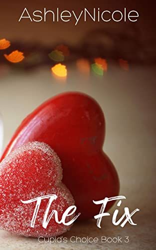 The Fix book cover