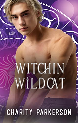 Witchin Wildcat book cover