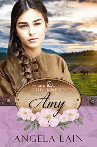 Amy (By: Angela Lain) cover