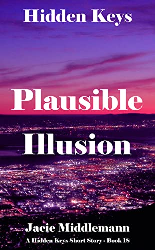 Plausible Illusion book cover