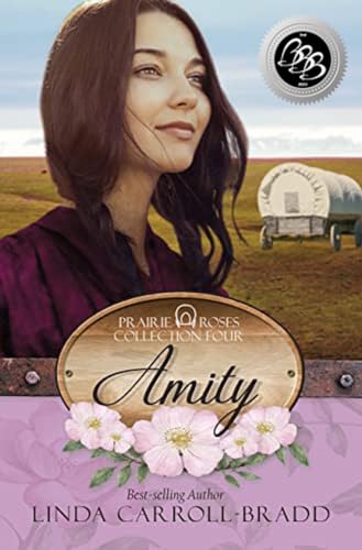 Amity (By: Linda Carroll-Bradd) cover