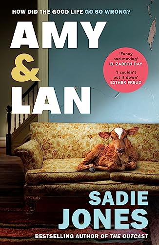 Amy and Lan book cover