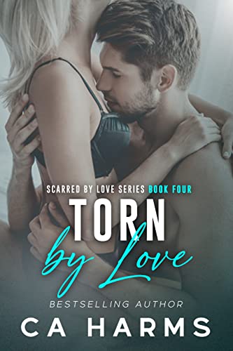 Torn by Love book cover
