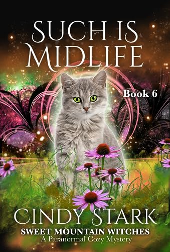 Such is Midlife book cover