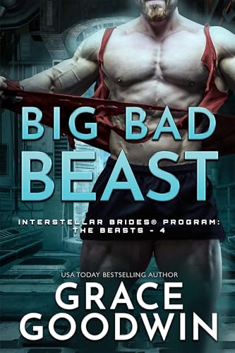 Big Bad Beast book cover