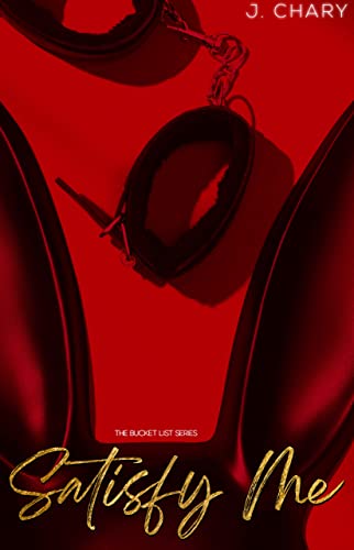 Satisfy Me (By: J. Chary) cover