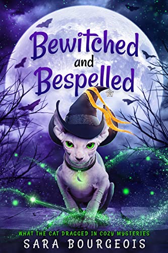Bewitched and Bespelled book cover