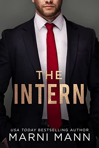 The Intern book cover
