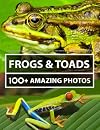 Frog and Toad Pictures and Photography - A Picture and Photo Book - Amazing Big Collection: 100 Amazing Pictures of Frogs in this Beautiful Frog photo book