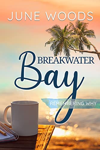 Remembering Why book cover