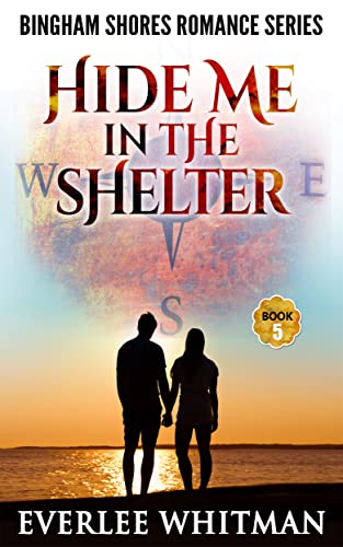Hide Me In The Shelter book cover