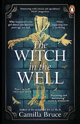 The Witch in the Well book cover