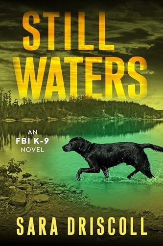 Still Waters book cover
