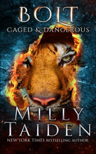 Bolt book cover