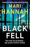 B09TZW3J5X.01.MZZZZZZZ Wild Coast, Dark Secrets: The Crime Novels That Capture Northumberland at Its Most Haunting
