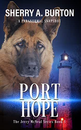 Port Hope book cover