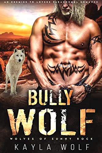 Bully Wolf book cover