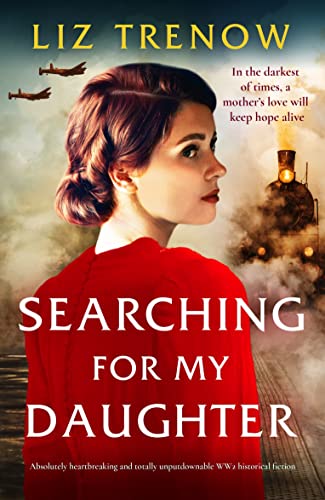 Searching for My Daughter book cover