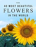 The 40 Most Beautiful Flowers in the World: A full color picture book for Seniors with Alzheimer's or Dementia (The Most Beautiful World Series)