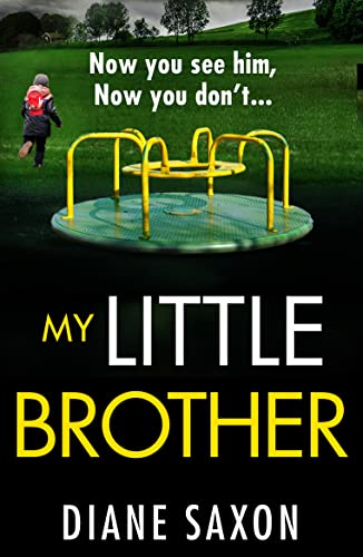 My Little Brother book cover