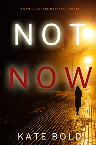 Not Now book cover